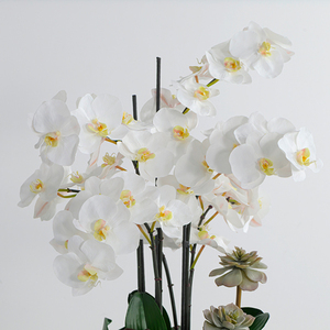 Plantas y Flores Artificiales de Alta Calidad con Tacto Real para Decoración de Interiores del Hogar y la Oficina - Product Image 1