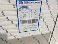 Lian Sheng Blue Leaf 300g FBB C1S Carton ivoire 70*100cm