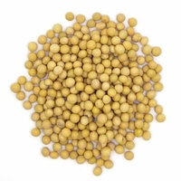 Graines de Soja Biologiques Non-OGM en Gros, Soja Séché Emballé en Vrac 25kg, Type de Culture Alimentation Animale et Consommation Humaine, Sud