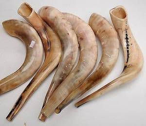 Shofar de Cuerno de Carnero Natural Hecho a Mano, Instrumento Religioso Judío para Soplar - Product Image 3