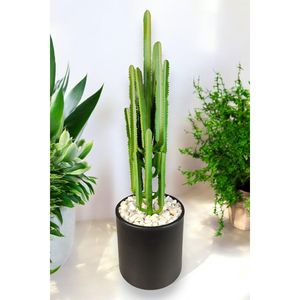 Cactus Annaflower 100cm - Product Image 2