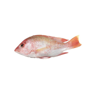 Poisson rouge entier surgelé frais, prix du marché, durée de conservation de 2 ans - Product Image 4