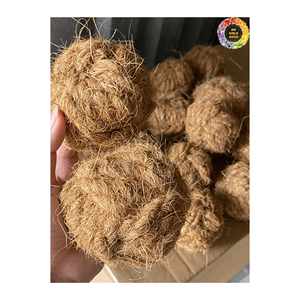 Top-Rated Coir Pet Chew <b>Stick</b> for <b>Dogs</b> | Natural Pet Accessories from Vietnam | Durable Chewing Toys & <b>Dog</b> Supplies. - Product Image 2