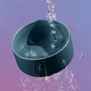 Prix de gros Bol pour chat en porcelaine de haute qualité Design surélevé pour petits chiens Nouveau Top Tendance Nourriture pour chat large incliné Métal - Product Image 2