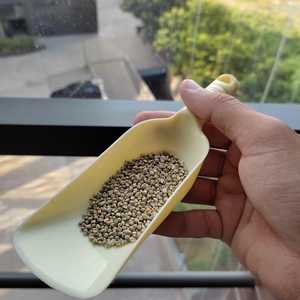 Verde mijo - Product Image 3