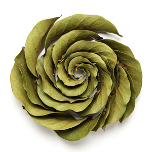 Hojas de Guanábana puras y secadas al sol, seleccionadas a mano para la máxima frescura y rico aroma - Product Image 2