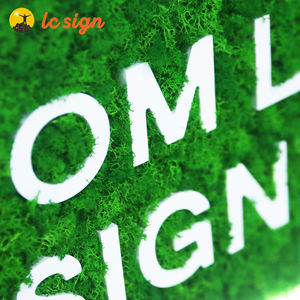 Arte de pared de musgo de letrero LC, pared de musgo, Oficina de musgo, letreros de musgo, letrero de musgo de pared, arte de musgo, decoración de musgo personalizada, musgo Real - Product Image 2