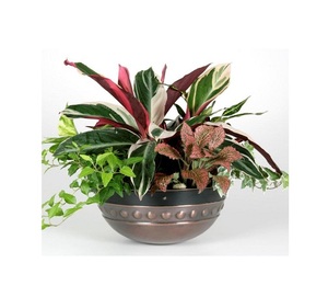 Jardinera de metal Premium hecha a mano Vintage para decoración de jardín, forma y tamaño personalizados a precio de venta, jardinera de metal - Product Image 1