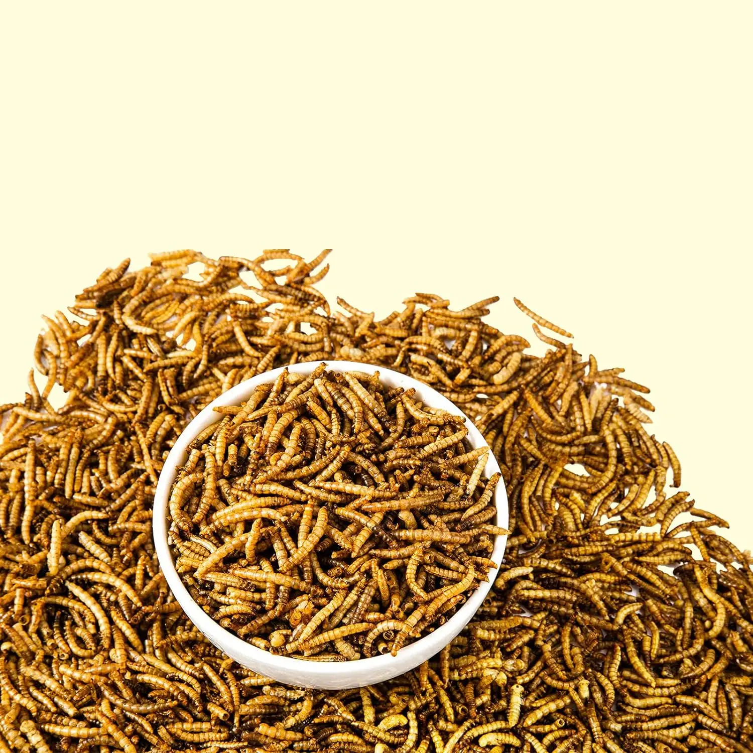 buy wholesale Dried Mealworms for Chickens, High Protein Meal Worms, Premium Chicken Feed in bulk