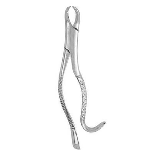 Pinzas Quirúrgicas Dentales de Acero Inoxidable para Extracción de Molares Inferiores Rotos o Atrapados, Tipo Cuerno de Vaca, al por Mayor - Product Image 2