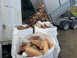 Fournisseurs en gros de bois de chauffage séché au four de qualité supérieure/fournisseurs de bois de chauffage de chêne de Belgique - Product Image 2