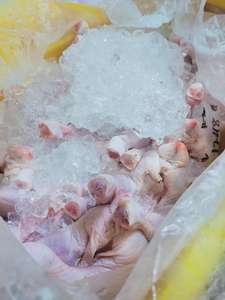 Muslos de pollo halal congelados premium en venta, muslos de pollo congelados en acero inoxidable - Product Image 3