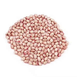 Light Speckled White Kidney <b>Bean</b> Dried Rich in Nutrition - Product Image 3
