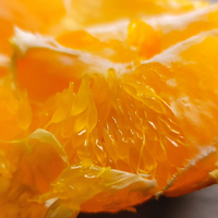[Bbungja Jeju Gyul Farm] Premium Korea Redhyang Citrus Van Jeju Eiland Zoete Makkelijke Schil Hoge Brix Gap Gecertificeerd Cadeau Fruit