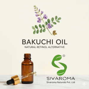 Authentic Bakuchi Seed Oil for Personal Care and Cosmetic Formulation Use - Product Image 2
