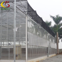 Commerciële multi-span PC-plaat kas Venlo-type landbouwkas met hydrocultuursysteem voor groenteteelt