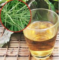 Poudre verte brune d'herbe naturelle Eleusine Indica, détoxifie le corps, sans problèmes de diabète