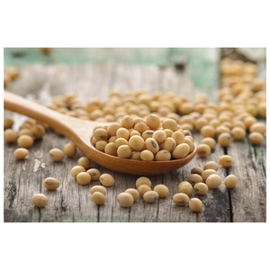 Organic Dried <b>Soybeans</b> Non-GMO High Quality Bulk Wholesale - Product Image 3