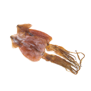 Sepia fresca y seca a la venta, un gran ingrediente para cocinar y recetas gourmet - Product Image 6