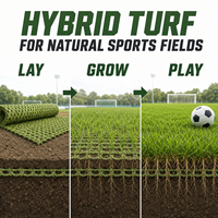 Gazon hybride Turfnest pour terrains de football professionnels, renforcement en maille pour gazon naturel, rouleau vert personnalisé jusqu'à 4 m de largeur