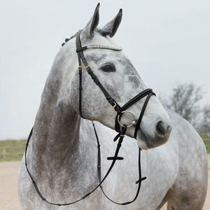 Brida de caballo de cuero genuino multicolor caliente tamaño completo venta al por mayor nueva brida de cuero de filete de caballo de alta calidad en la parte superior negra - Product Image 2