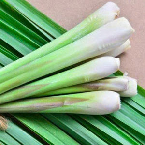 Citronnelle congelée de qualité supérieure, coupée et congelée, hachée pour les soupes d'assaisonnement Citronnelle congelée Fournisseur du Vietnam - Product Image 2