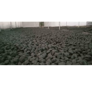 Briquettes de charbon de bois de coque de noix de coco les plus vendues pour les restaurants, les barbecues ou les grillades et la restauration, disponibles en gros - Product Image 3