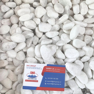 Piedras de Guijarro Blancas como la Nieve, Naturales y Duraderas, Perfectas para Paisajismo y Decoración Moderna - Product Image 1