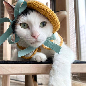 Conjunto de gorro y bufanda de ganchillo Acki, nuevo, con lazo, de plástico, deportivo, con patrón de calabaza de Halloween, para las cuatro estaciones, unisex para adultos y mascotas. - Product Image 4