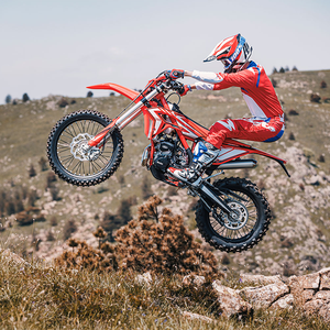 BETAA RX 300 2024 - Product Image 4