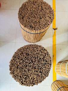 Ramas de Canela de Ceilán - Alba - Product Image 4