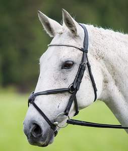 Bride mexicaine Diamante - Product Image 3