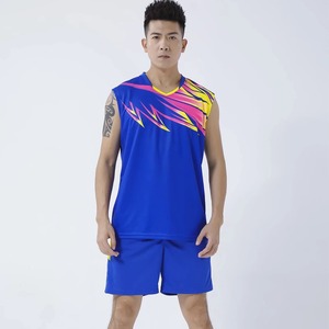 2024 été Offre Spéciale hommes séchage rapide Badminton & Tennis costume 2 pièces ensemble d'entraînement volley-ball uniforme vêtements - Product Image 5
