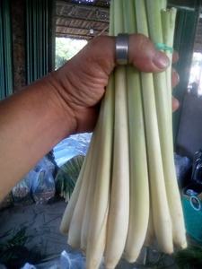 Hierba de limón congelada competitiva al mejor precio de exportación de Vietnam - Product Image 6