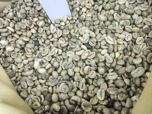 เมล็ดกาแฟอาราบิก้าออร์แกนิกคุณภาพพรีเมียมขายดี รสชาติเผ็ดร้อน กลิ่นอบอบอบเชย เกรดท็อป คั่วเขียว ผสมผสานจากเยอรมนี - Product Image 4