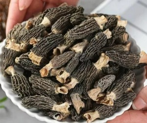 500g מזרח נטורהוס יבשים פטריות מורל פראי - Product Image 3