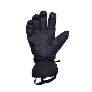 Gants de ski imperméables d'hiver Gants de ski de plein air d'usine OEM 3M Thinsulate Gants d'hiver à écran tactile - Product Image 5