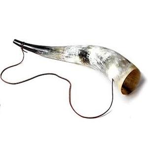 Corne à souffler de buffle 100 % naturelle de qualité supérieure, forme naturelle - Product Image 4