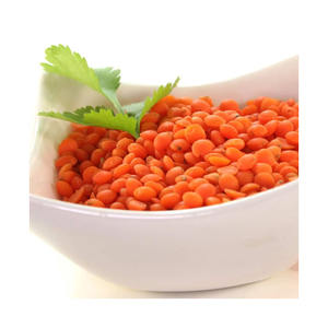 Lentejas Rojas Frescas de Primera Calidad, Altamente Nutritivas, 100% Naturales, Entrega Rápida, para la Gran Demanda Minorista y el Comercio al por Mayor - Product Image 1