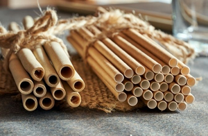 ชุดหลอดดูดทำจากไม้ไผ่ธรรมชาติทำด้วยมือเป็นมิตรกับสิ่งแวดล้อมนำมาใช้ใหม่ได้และย่อยสลายได้ทางชีวภาพ | ส่งออกจากเวียดนาม - Product Image 3