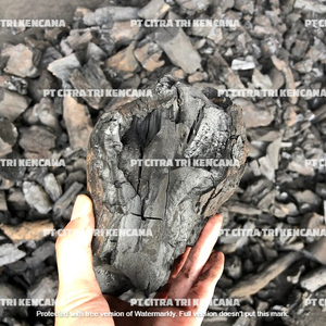 Barbecue à charbon de bois, barbecue à fruits et café en bois dur, barbecue à charbon naturel en plein air, meilleure vente en malaisie, novembre 2022 - Product Image 1