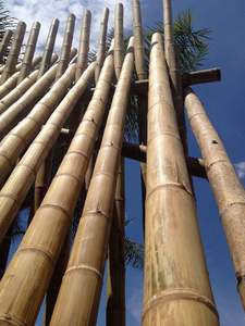 Fabricante Vietnamita de Postes de Bambú Personalizados con Tratamiento Antitermitas para Estructuras de Construcción - Product Image 4