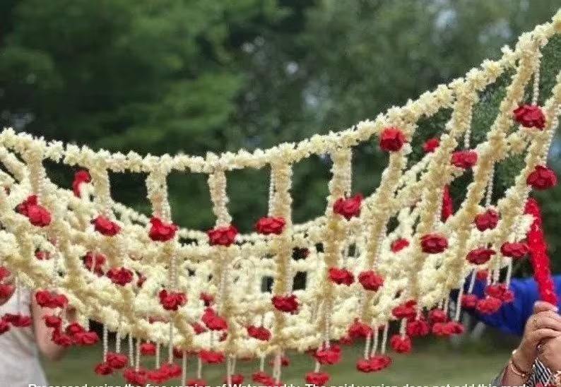 สีขาวกับดอกไม้สีแดง