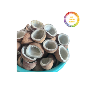 Coprah soigneusement traité avec une rétention d'huile élevée, parfait pour les moulins à huile et autres produits à base de noix de coco - Product Image 6