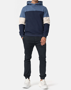 2025 Diseño de tres colores cómodo 500GSM Sudadera con capucha personalizado DTF logotipo impreso sudaderas con capucha de gran tamaño para hombres Servicio OEM - Product Image 5