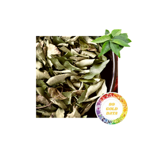 Hojas de Curry Secas Orgánicas al por Mayor, Entrega Rápida y Segura desde Vietnam, Mejor Precio, Gran Stock Agrícola - Product Image 1