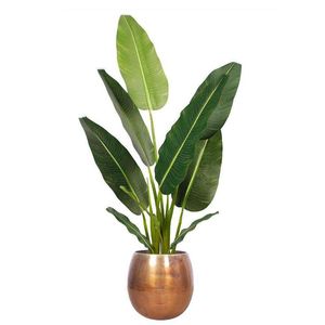 Jardinière en aluminium classique avec support noir pour ajouter de la verdure aux espaces intérieurs et extérieurs - Product Image 5