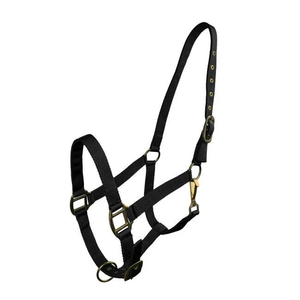 Wholesale Neoprene Lined Adjustable Nylon <b>Horse</b> Halter Comfortable Durable Training Headcollar Running <b>Horse</b> Pattern Bulk - Product Image 4