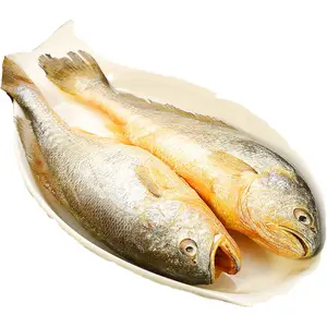 China Farms Yellow Fish Croaker Bulk Buy iwp iqf 300-500g Frozen Yellow Croaker Fish