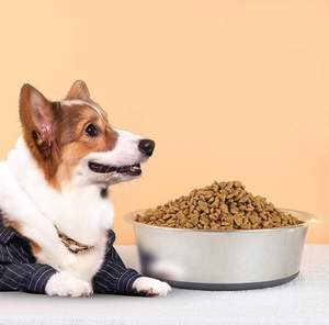 Premium Quality 2600ml Stainless Steel Silicone Non-Slip Pet Feeder <b>Bowl</b> Portable Small <b>Large</b> Cats <b>Dogs</b> <b>Water</b> Feed Application - Product Image 6